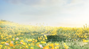 Spring Products Banner bg